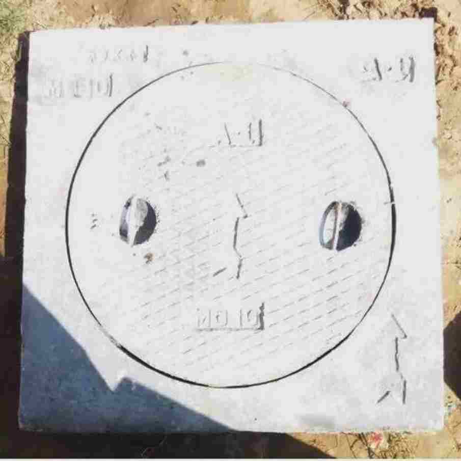 Image Description