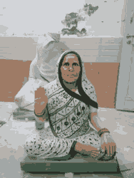 Image Description